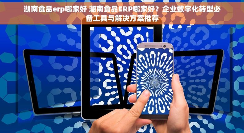 湖南食品erp哪家好 湖南食品ERP哪家好？企业数字化转型必备工具与解决方案推荐