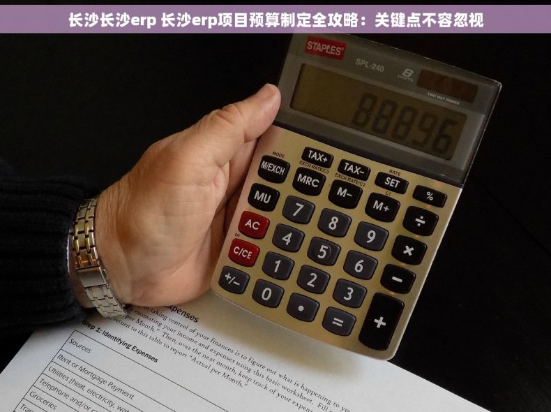 长沙长沙erp 长沙erp项目预算制定全攻略：关键点不容忽视