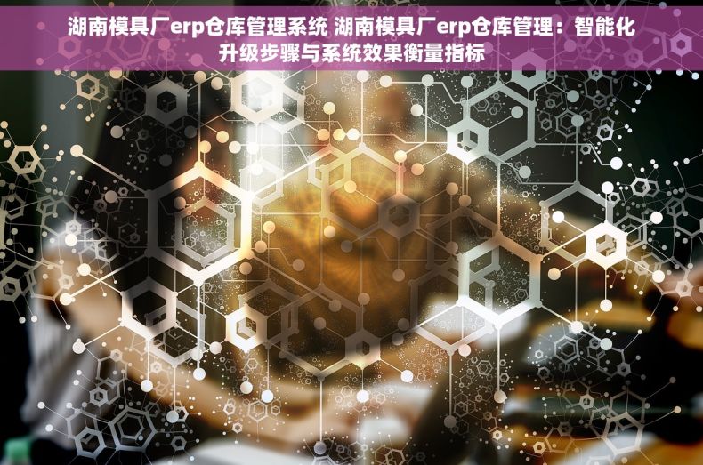 湖南模具厂erp仓库管理系统 湖南模具厂erp仓库管理：智能化升级步骤与系统效果衡量指标