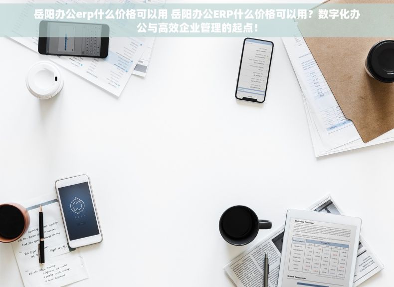 岳阳办公erp什么价格可以用 岳阳办公ERP什么价格可以用？数字化办公与高效企业管理的起点！