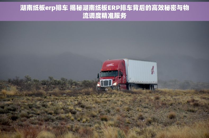 湖南纸板erp排车 揭秘湖南纸板ERP排车背后的高效秘密与物流调度精准服务