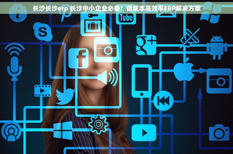 长沙长沙erp 长沙中小企业必备！低成本高效率ERP解决方案