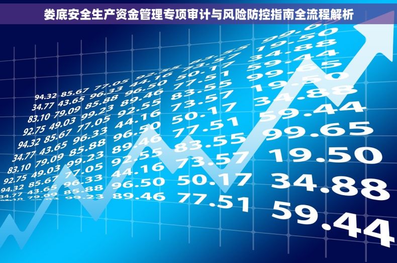 娄底安全生产资金管理专项审计与风险防控指南全流程解析