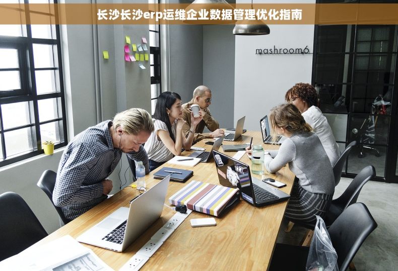 长沙长沙erp运维企业数据管理优化指南