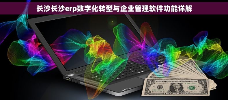 长沙长沙erp数字化转型与企业管理软件功能详解