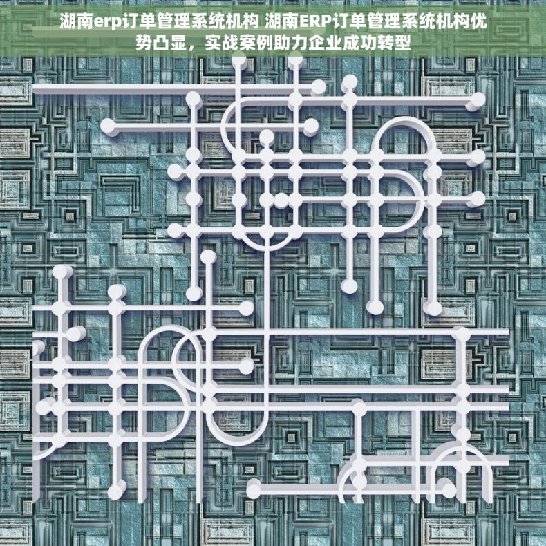 湖南erp订单管理系统机构 湖南ERP订单管理系统机构优势凸显，实战案例助力企业成功转型