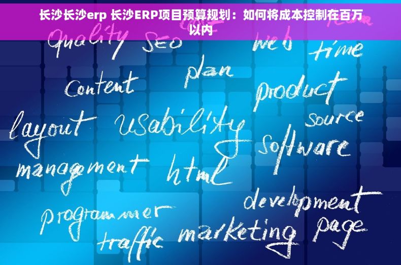 长沙长沙erp 长沙ERP项目预算规划：如何将成本控制在百万以内