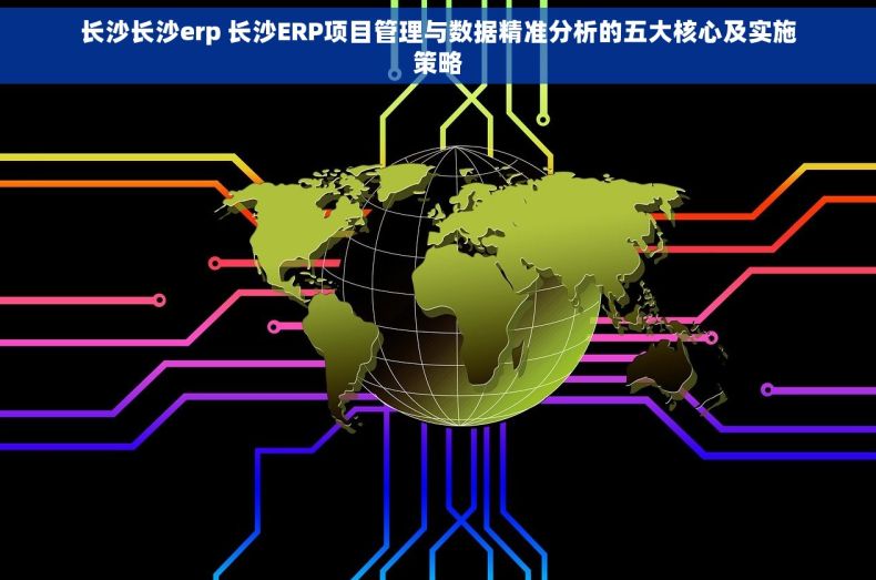 长沙长沙erp 长沙ERP项目管理与数据精准分析的五大核心及实施策略