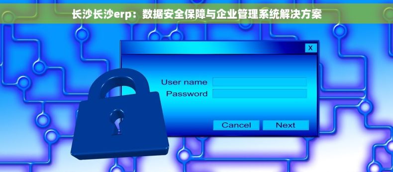 长沙长沙erp：数据安全保障与企业管理系统解决方案