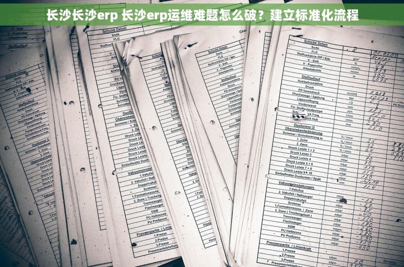 长沙长沙erp 长沙erp运维难题怎么破？建立标准化流程