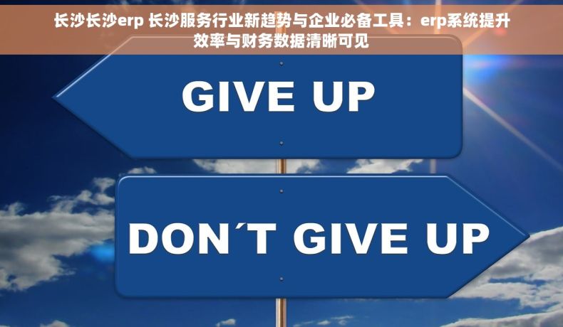 长沙长沙erp 长沙服务行业新趋势与企业必备工具：erp系统提升效率与财务数据清晰可见