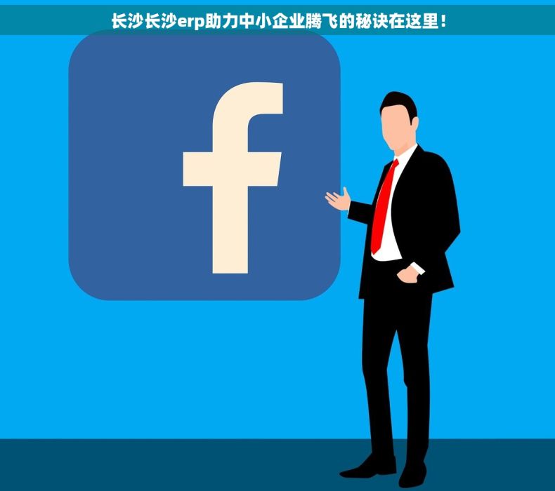 长沙长沙erp助力中小企业腾飞的秘诀在这里！