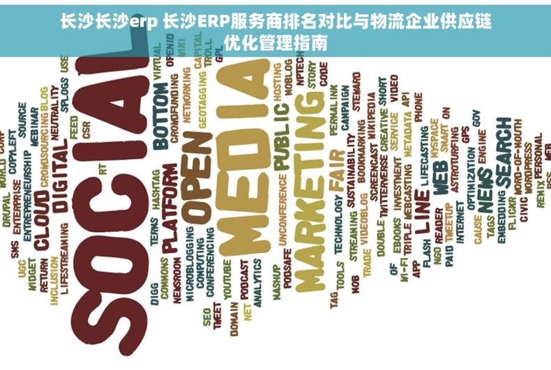 长沙长沙erp 长沙ERP服务商排名对比与物流企业供应链优化管理指南