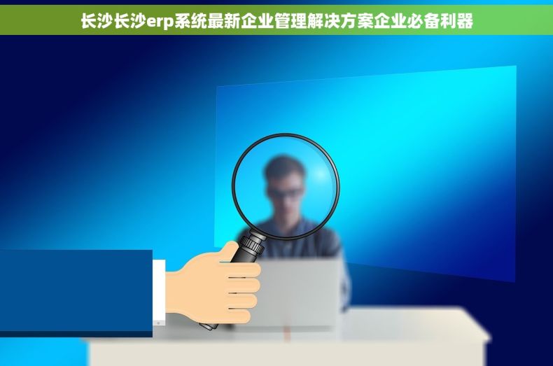 长沙长沙erp系统最新企业管理解决方案企业必备利器