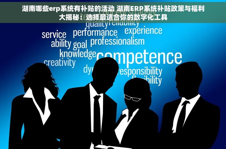 湖南哪些erp系统有补贴的活动 湖南ERP系统补贴政策与福利大揭秘：选择最适合你的数字化工具