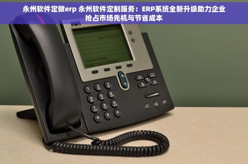 永州软件定做erp 永州软件定制服务：ERP系统全新升级助力企业抢占市场先机与节省成本