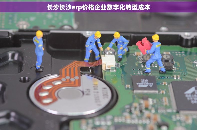 长沙长沙erp价格企业数字化转型成本