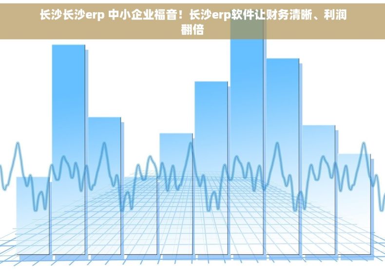 长沙长沙erp 中小企业福音！长沙erp软件让财务清晰、利润翻倍