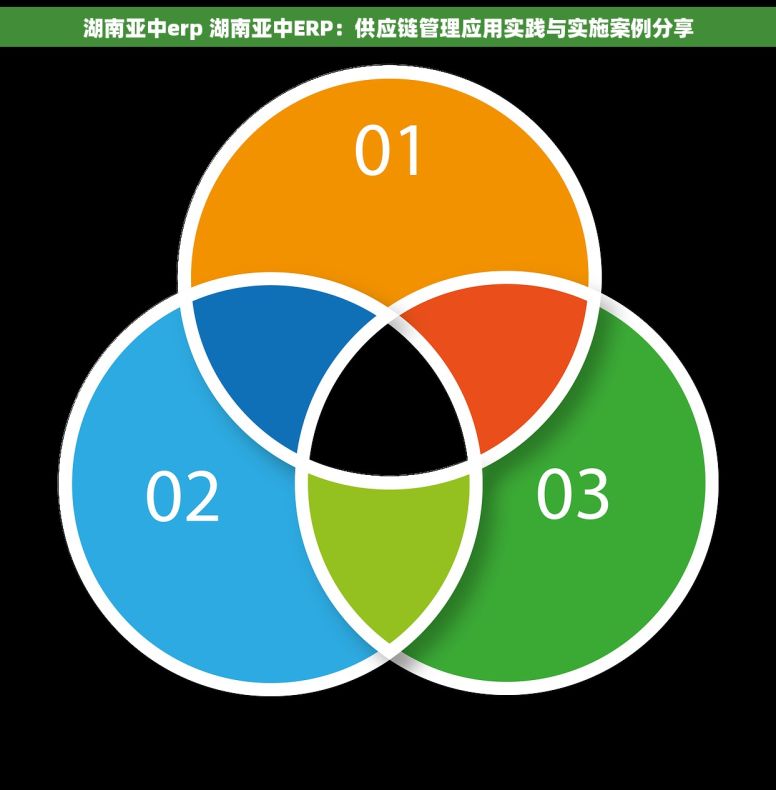 湖南亚中erp 湖南亚中ERP：供应链管理应用实践与实施案例分享