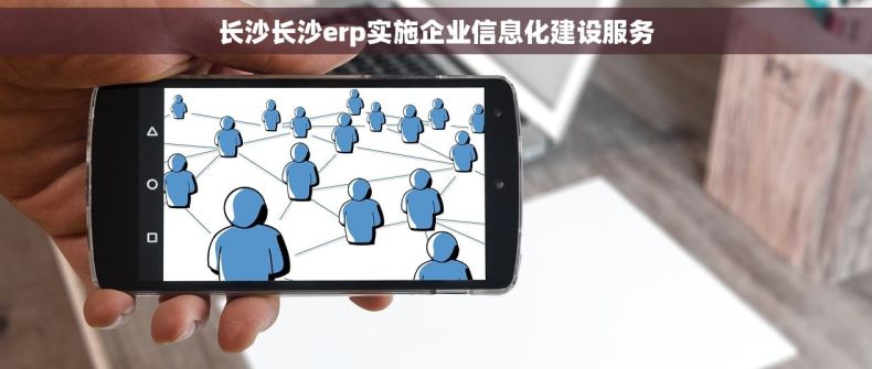 长沙长沙erp实施企业信息化建设服务