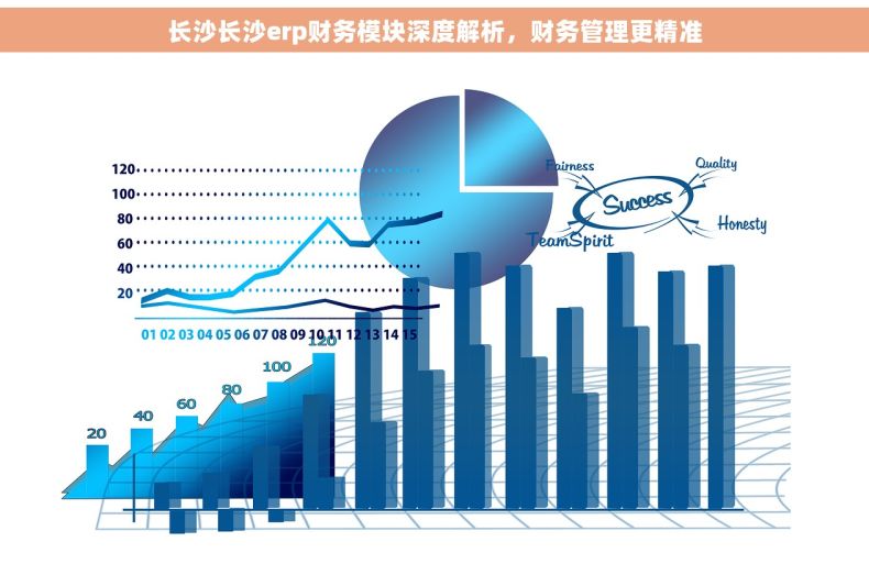 长沙长沙erp财务模块深度解析，财务管理更精准