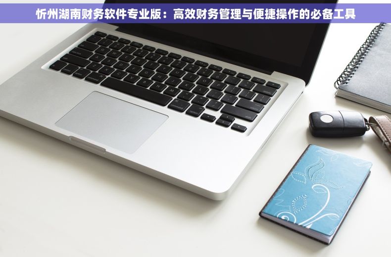 忻州湖南财务软件专业版：高效财务管理与便捷操作的必备工具