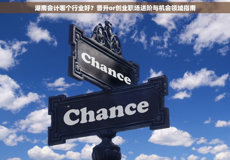 湖南会计哪个行业好？晋升or创业职场进阶与机会领域指南