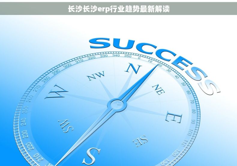 长沙长沙erp行业趋势最新解读