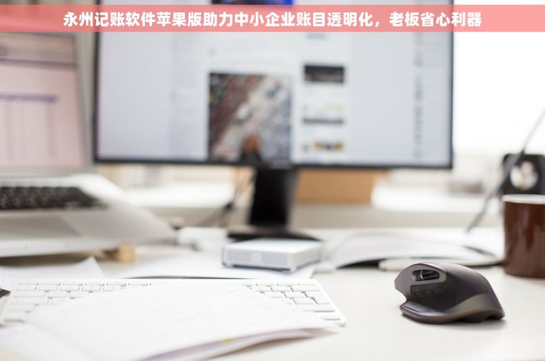 永州记账软件苹果版助力中小企业账目透明化，老板省心利器