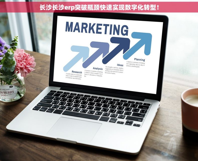 长沙长沙erp突破瓶颈快速实现数字化转型！