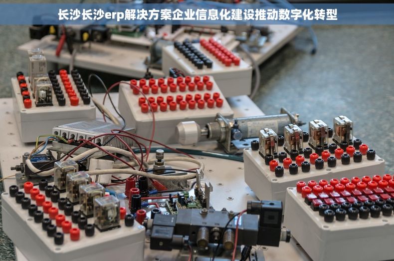 长沙长沙erp解决方案企业信息化建设推动数字化转型