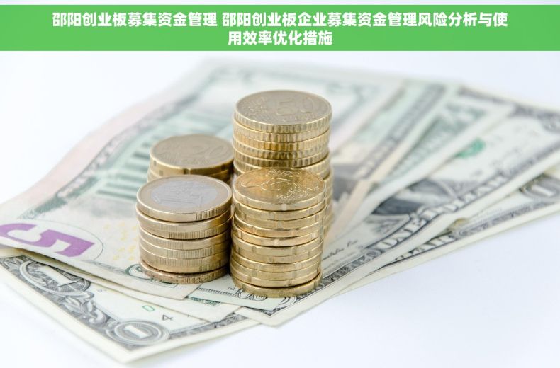 邵阳创业板募集资金管理 邵阳创业板企业募集资金管理风险分析与使用效率优化措施