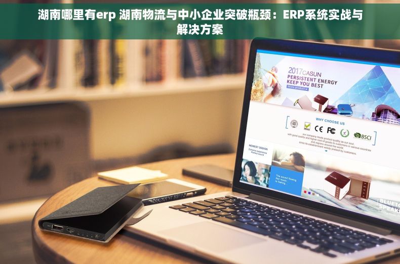 湖南哪里有erp 湖南物流与中小企业突破瓶颈：ERP系统实战与解决方案