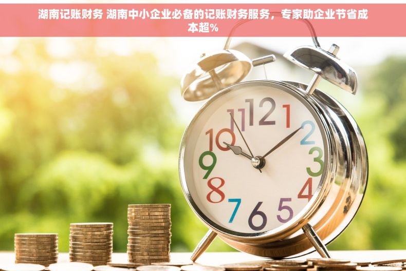 湖南记账财务 湖南中小企业必备的记账财务服务，专家助企业节省成本超%