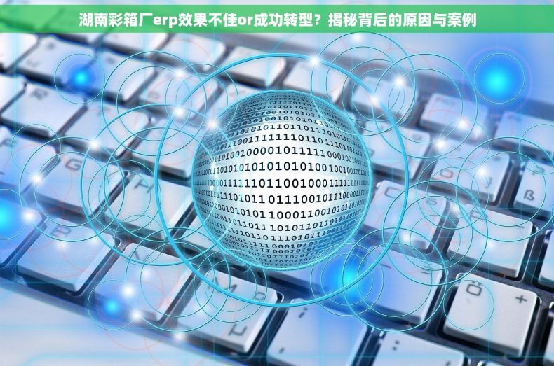湖南彩箱厂erp效果不佳or成功转型？揭秘背后的原因与案例