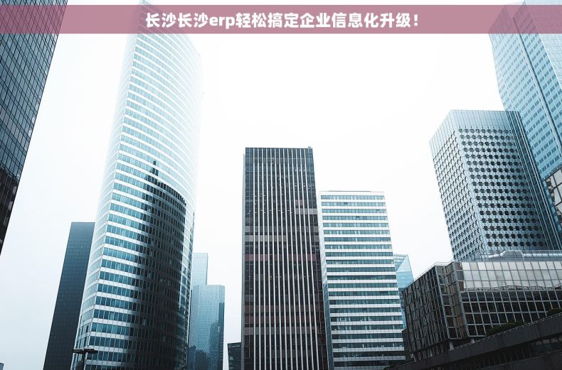 长沙长沙erp轻松搞定企业信息化升级！