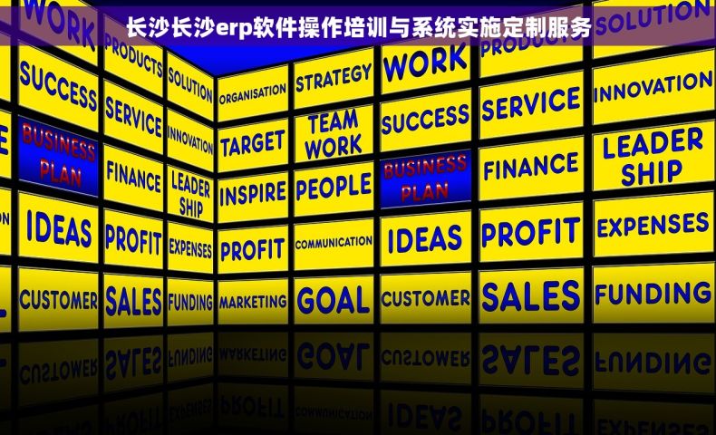 长沙长沙erp软件操作培训与系统实施定制服务