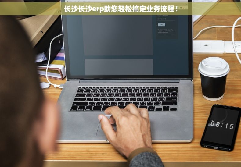 长沙长沙erp助您轻松搞定业务流程！