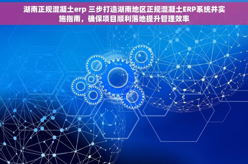 湖南正规混凝土erp 三步打造湖南地区正规混凝土ERP系统并实施指南，确保项目顺利落地提升管理效率