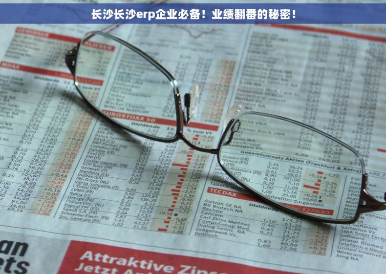 长沙长沙erp企业必备！业绩翻番的秘密！