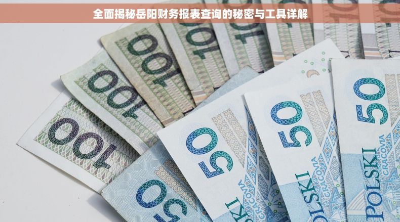 全面揭秘岳阳财务报表查询的秘密与工具详解