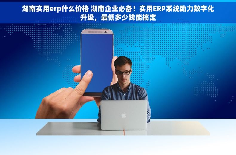 湖南实用erp什么价格 湖南企业必备！实用ERP系统助力数字化升级，最低多少钱能搞定