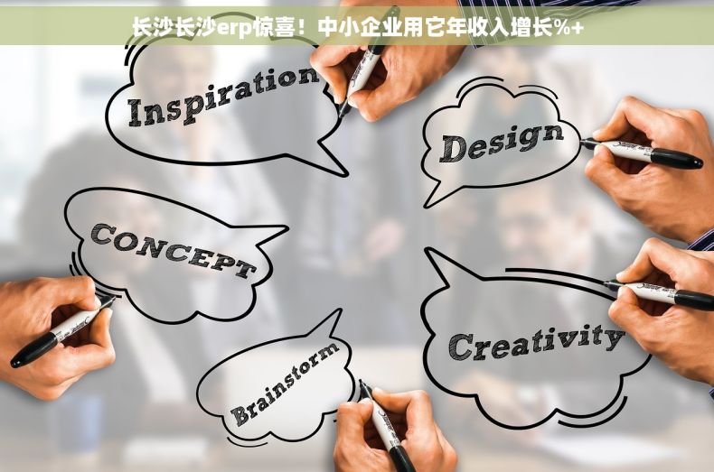 长沙长沙erp惊喜！中小企业用它年收入增长%+