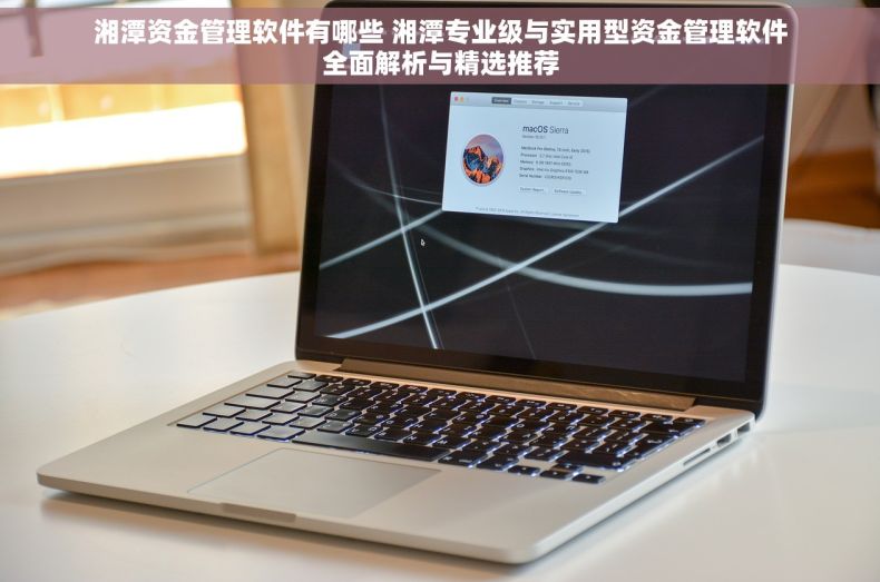 湘潭资金管理软件有哪些 湘潭专业级与实用型资金管理软件全面解析与精选推荐