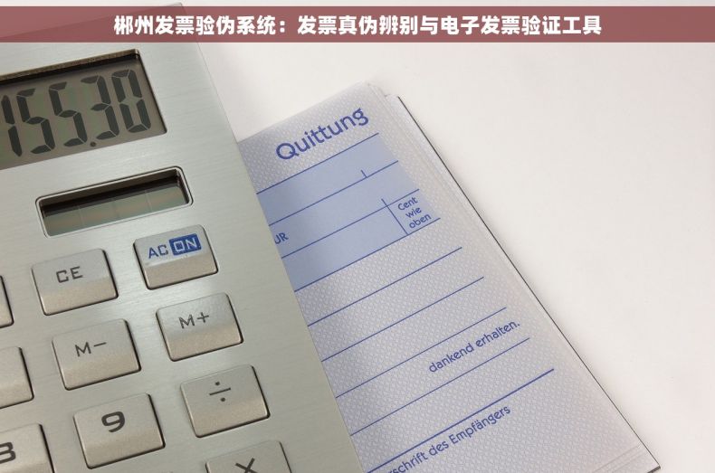 郴州发票验伪系统：发票真伪辨别与电子发票验证工具