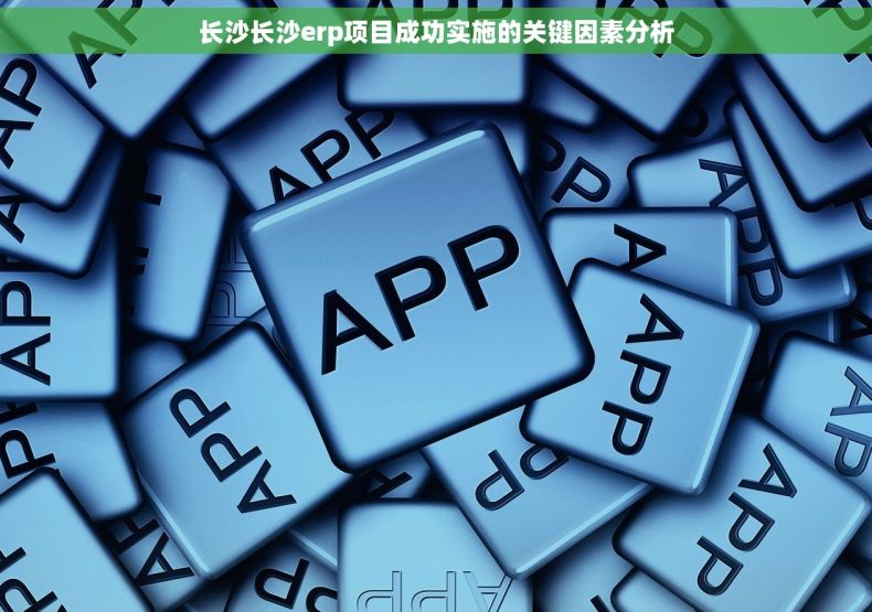 长沙长沙erp项目成功实施的关键因素分析