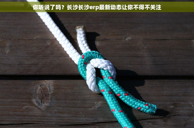 你听说了吗？长沙长沙erp最新动态让你不得不关注