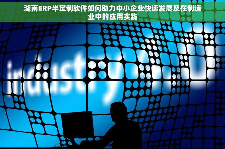 湖南ERP半定制软件如何助力中小企业快速发展及在制造业中的应用实践