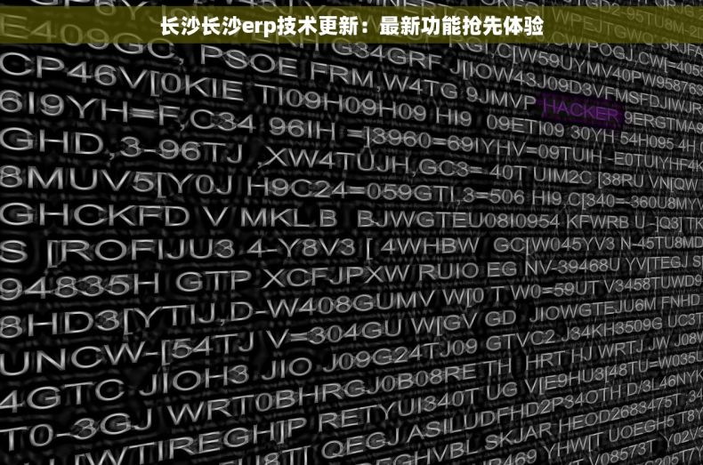 长沙长沙erp技术更新：最新功能抢先体验