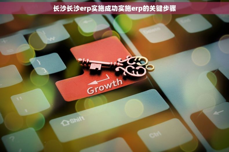 长沙长沙erp实施成功实施erp的关键步骤